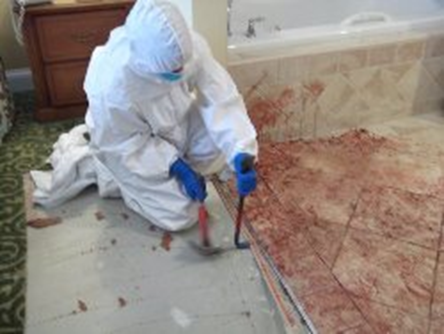 Safeguarding Peoria: The Essential Role of Biohazard Cleanup Services in Peoria, IL