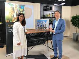 Navigating Small business Fineness having SAP Unleashing the facility connected with Brilliant Company