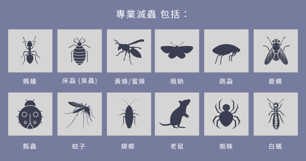 Holding Your household Pest-Free Was once the essential Instruction that will Pest Control Services