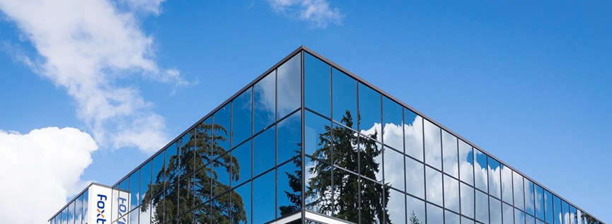 Supporting Businesses with Foxtheon Energy: Exploiting the Sustainable Power